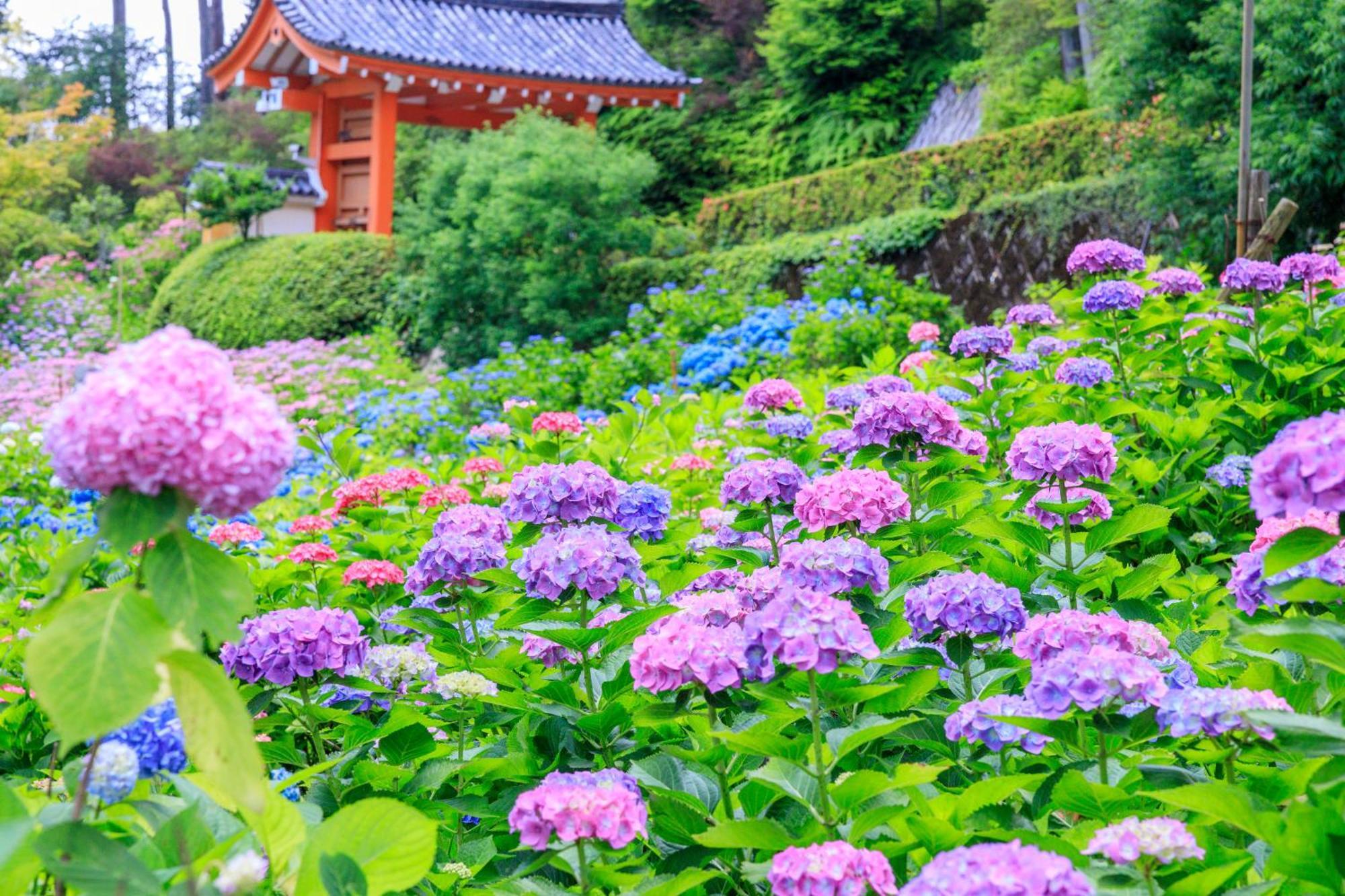 Mimaru Suites Kyoto Shijo מראה חיצוני תמונה